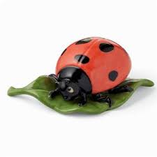 coccinella